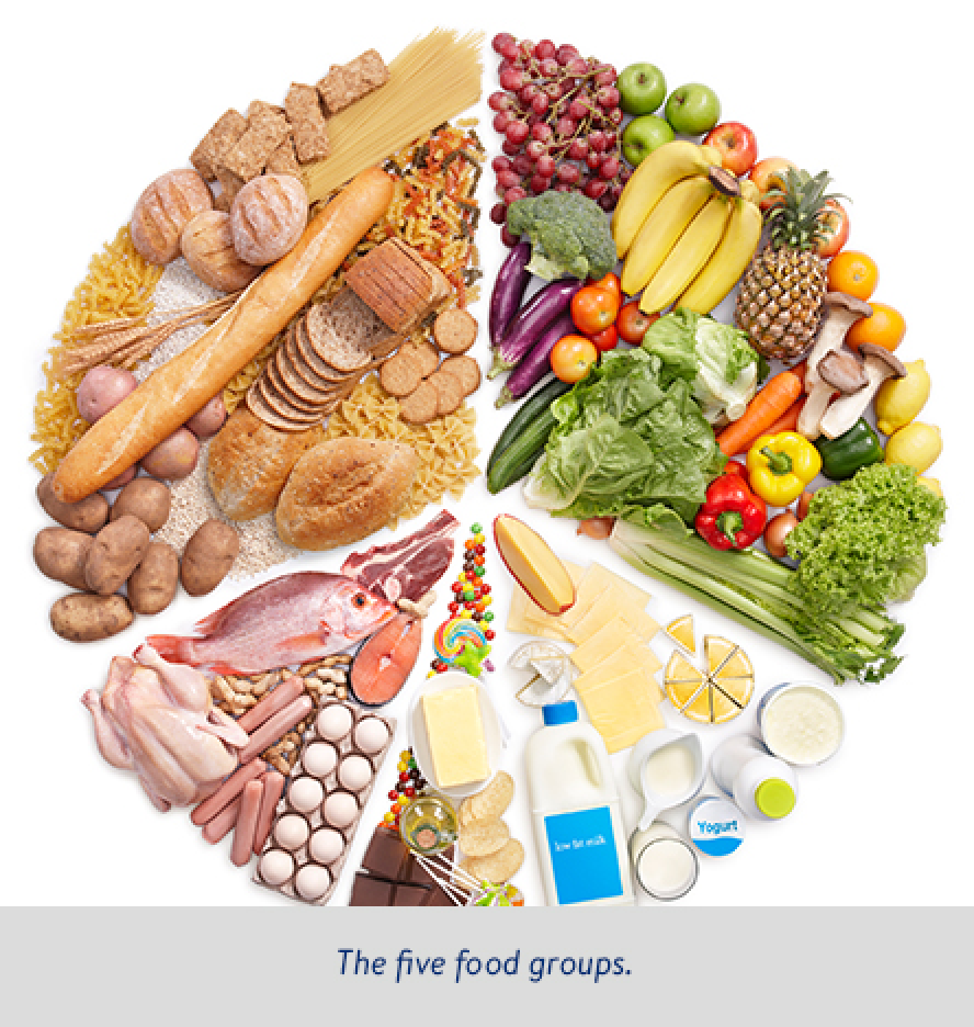 glucerna-article-the-five-food-groups